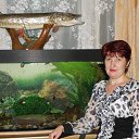 ���� �����, ��������������, 53 ���� - ��������� 3 ������ 2013