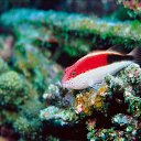 ���� ����� - ���������� ��������!!!, �����������, 56 ��� - ��������� 12 ������ 2010 � ������ ������