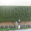 ���� ���������, �����-��������� - ��������� 15 ������ 2012 � ������ ���� ����������