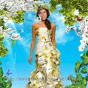 ���� ����, �����, 40 ��� - ��������� 8 ���� 2012 � ������ ���� ����������