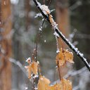 ��������� ������ �� ������� ������� ����