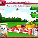  ,  -  1  2010   PetLove