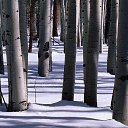 ���� �����, ����� - ��������� 29 ������ 2013 � ������ ���ѻ