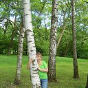 ���� ������, ����, 63 ���� - ��������� 22 ��� 2013 � ������ ���� ����������