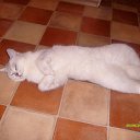 ���� ��� ����, ������, 24 ���� - ��������� 25 ����� 2010 � ������ ���� �����