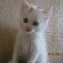 ���� ������, �������������, 53 ���� - ��������� 6 ������ 2012