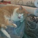 ���� Ivan, ������ �������� - ��������� 4 ������� 2013 � ������ ���� ����������