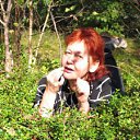 ���� �������, ����������� - ��������� 1 ������� 2012 � ������ ���� ����������