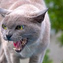 ���� ��������, ���� - ��������� 2 ������ 2013 � ������ ���� ����������