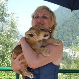 ������, ������, 66 ���