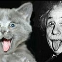     -  .   ,      .   - - !