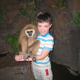 ���� �������, ������, 21 ��� - ��������� 26 ���� 2013