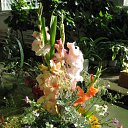 ���� �����, ���� - ��������� 20 �������� 2009 � ������ ����� �����