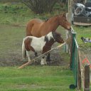 ���� Sergej, ��������, 67 ��� - ��������� 5 ����� 2012