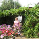 ���� ������, ����������� - ��������� 9 ������ 2012 � ������ ���� ����������