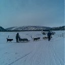 ���� ��@@@@...., �����, 61 ��� - ��������� 29 ����� 2012 � ������ ���� ����������