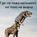 ���� �������, ������, 48 ��� - ��������� 3 ������� 2009 � ������ �������