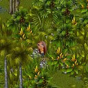 ����������.... �� ������� �Tropikania�