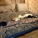 ���� ��������(����), ���������, 75 ��� - ��������� 29 �������� 2011 � ������ ���� ����������