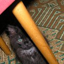  ok, --, 44  -  13  2010   