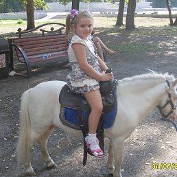 �����, ��������