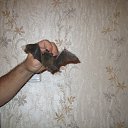 ���� ����, ���������, 53 ���� - ��������� 19 ������ 2012 � ������ ���� ����������