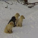 �� ��� ���� � ����... �� ������� ���� ����������