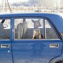 ���� Aleksandr, ���������, 46 ��� - ��������� 4 ������ 2010 � ������ ������ ������