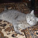 ���� ������, ���������, 49 ��� - ��������� 2 ����� 2013 � ������ ���� ����������