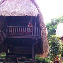 ���� ������, �����������, 64 ���� - ��������� 25 ������� 2011 � ������ ���� ����������