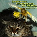 ���� �����, �����������, 41 ��� - ��������� 12 ������� 2010 � ������ �������� ���������!�