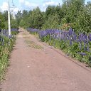 ���� ����, �����-���������, 65 ��� - ��������� 20 ���� 2013 � ������ ���� ����������