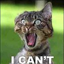 ���� ��������, ������-��-����, 37 ��� - ��������� 23 ������� 2012