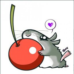 ���� ����, ������ - ��������� 6 ������� 2011