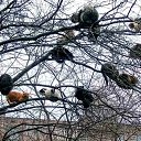 ���� Lana, ������ - ��������� 28 ��� 2011 � ������ �������