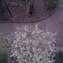 07.04.2013 �� ������� ���� ����������