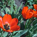 ���� ����� - ���������� ��������!!!, �����������, 56 ��� - ��������� 21 ������ 2010 � ������ ��������ۻ