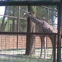 ���� ����, ���� - ��������� 27 ������ 2011