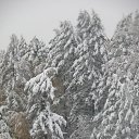 ���� �����, �����-���������, 49 ��� - ��������� 23 �������� 2011 � ������ ��������-����