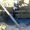 ���� �����, ����������, 54 ���� - ��������� 2 ������� 2012 � ������ �2012�