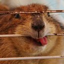 ���� Vlad, �������, 47 ��� - ��������� 4 ������ 2012 � ������ ���� ����������