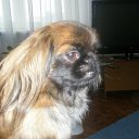 ���� ������, �������, 48 ��� - ��������� 28 ������ 2011 � ������ ���� ����������