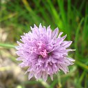 ���� ����, �������� ������ - ��������� 8 �������� 2010 � ������ ������� ��������....�