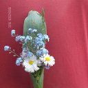 ���������! �� ������� �������