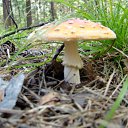 ���� �������, ������� - ��������� 10 ������ 2010 � ������ ����...������