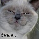 ���� Vladimir, ��������, 61 ��� - ��������� 16 ������ 2013 � ������ ���� ����������
