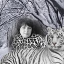 ���� ����, �������, 49 ��� - ��������� 27 ������� 2012