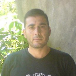 Sargis, , 50 