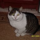 ���� ����, ����������, 62 ���� - ��������� 10 ������� 2009