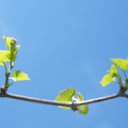 ���� Empire, ������-��-���� - ��������� 4 ��� 2010 � ������ ����